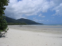 CairnsTC354 Daintree